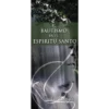 El Bautismo En El Espiritu Santo - Baptism of the Holy Spirit - Tract (Spanish)