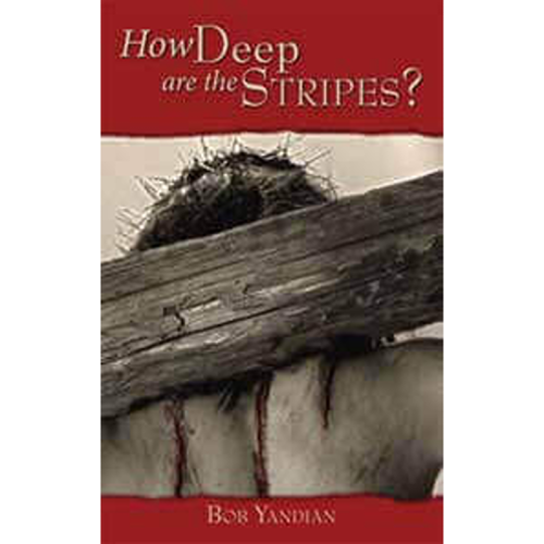 How Deep are the Stripes? - Book