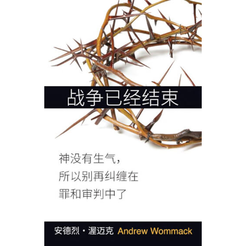 战争已经结束 - The War Is Over - Book (Chinese Simplified)
