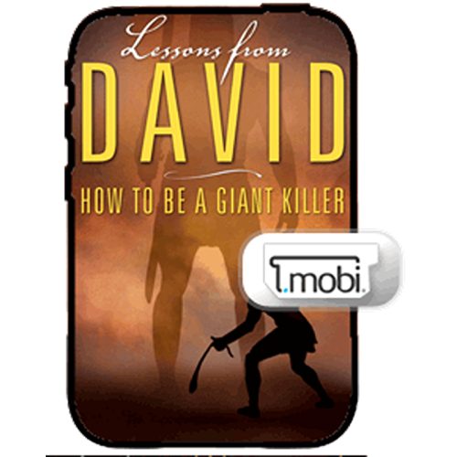 339EM Lessons From David - Book (MOBI)